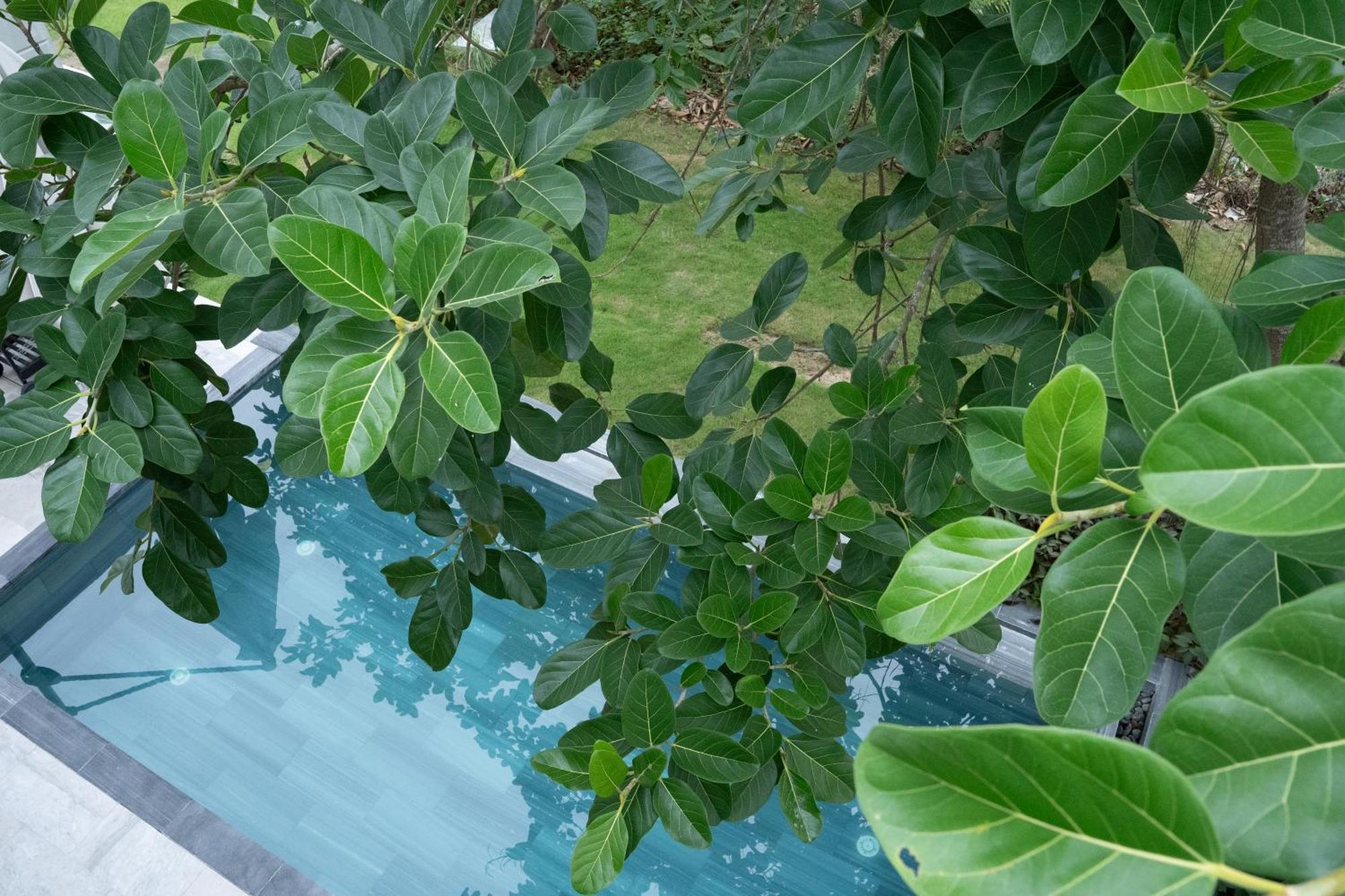 "Brg Golf Club" - Danang Private Pool Villa 3 Bedrooms #1 Dış mekan fotoğraf